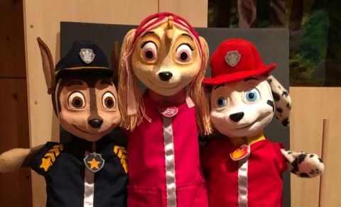 Paw Patrol